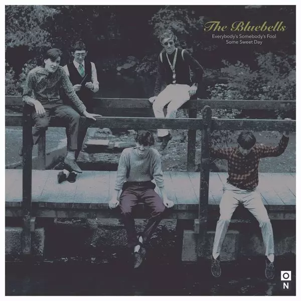 BLUEBELLS (NEO ACOUSTIC) / ブルーベルズ / EVERYBODYS SOMEBODYS FOOL