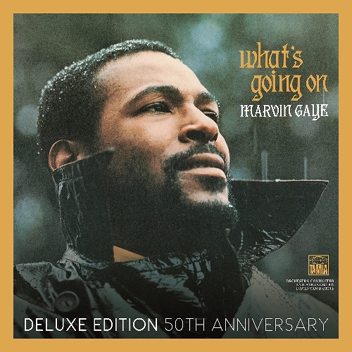 MARVIN GAYE / マーヴィン・ゲイ / WHAT'S GOING ON : 50TH ANNIVERSARY 2LP EDITION + SALAAM REMI REMIX SUITE (2LP)
