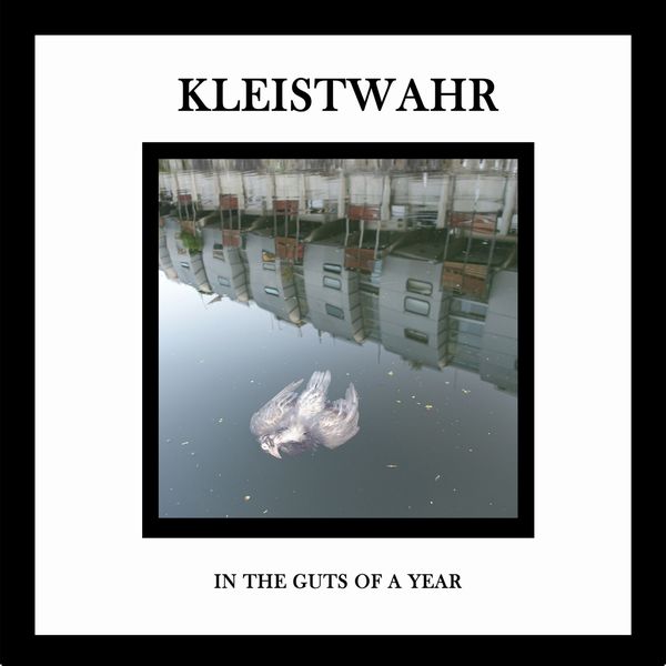 KLEISTWAHR / IN THE GUTS OF A YEAR