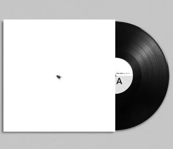 BRA盤オリジ！73年！激レア！Walter Franco/Ou Nao Nao OU NAO/WALTER FRANCO/ヴァルテル・フランコ/トロピカリアを支えた鬼才