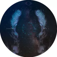 GUY FROM DOWNSTAIRS / COSMICADA EP