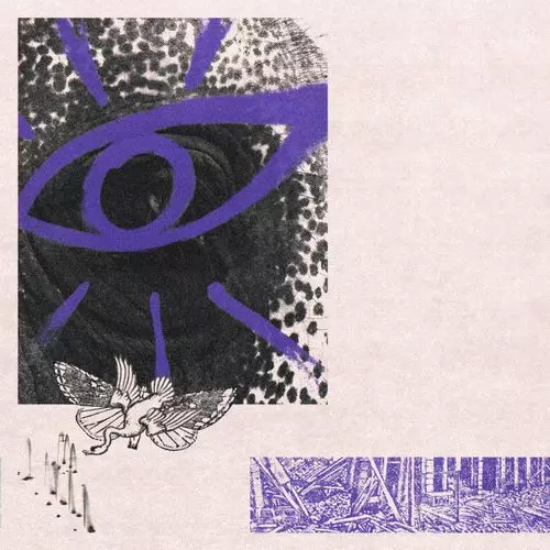 HIPPO CAMPUS / ヒッポー・キャンパス / LP3 / エルピースリー