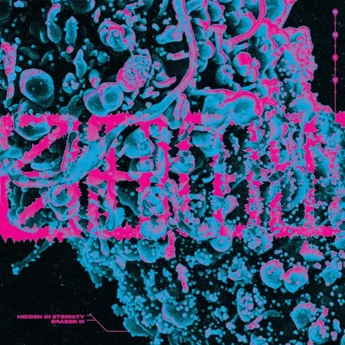 S.H.I.T. / HIDDEN IN ETERNITY (7")