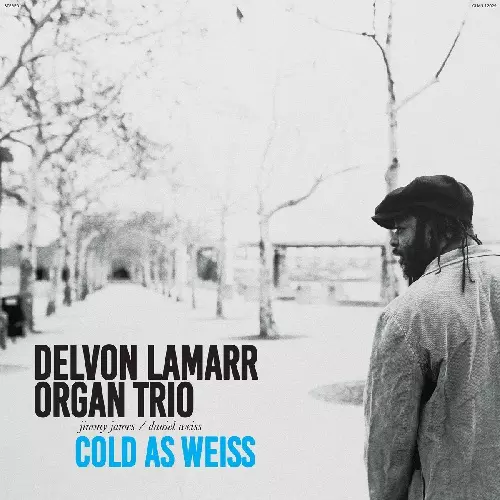 DELVON LAMARR ORGAN TRIO / デルヴォン・ラマー・オルガン・トリオ