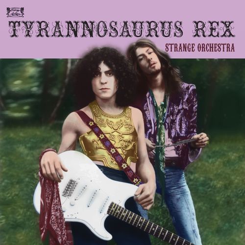 TYRANNOSAURUS REX / ティラノザウルス・レックス / STRANGE ORCHESTRA (2CD)