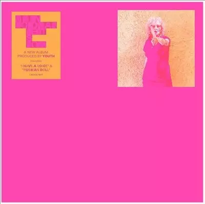 VIVIEN GOLDMAN / ヴィヴィアン・ゴールドマン / NEXT IS NOW (LP)