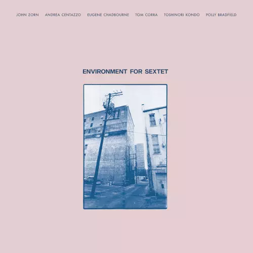 JOHN ZORN / ジョン・ゾーン / Environment For Sextet (LP)