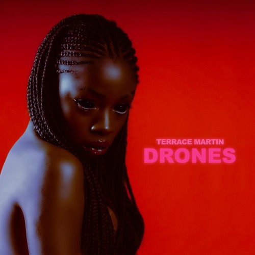 TERRACE MARTIN / テラス・マーティン / DRONES