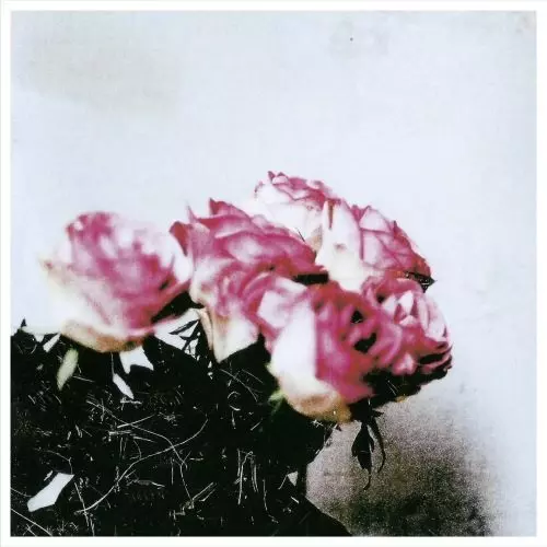 Minuano商品一覧｜JAPANESE ROCK・POPS / INDIES｜ディスク