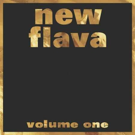 V.A. (NBN RECORDS) / NEW FLAVA VOLUME ONE "2LP"