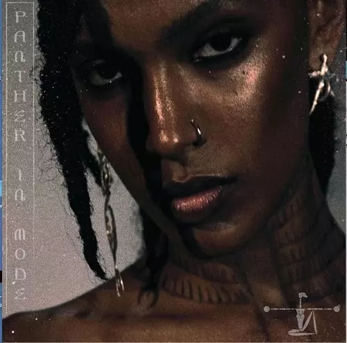 ALEWYA / PANTHER IN MODE 