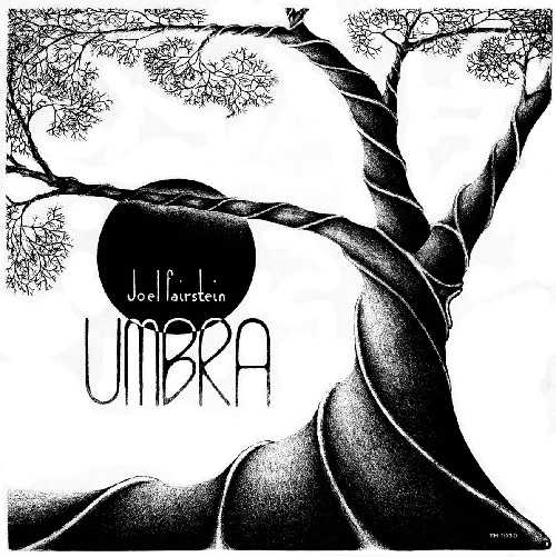JOEL FAIRSTEIN / UMBRA (LP)