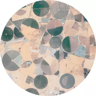 FOREST DRIVE WEST / RECURSION EP 