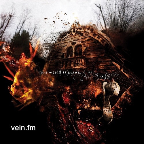 VEIN (PUNK) / THIS WORLD IS GOING TO RUIN YOU