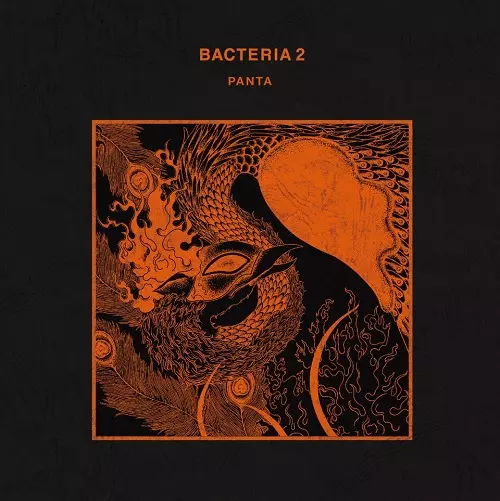 廃盤 帯付き CD PANTA 響 オリーブの樹の下で PANTA / パンタ商品一覧｜OLD ROCK｜ディスクユニオン