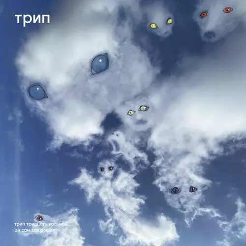 V.A. / オムニバス(трип) / ALL HIS DECISIONS