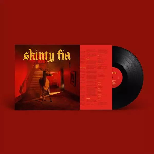 FONTAINES D.C. / フォンテインズ・D.C. / SKINTY FIA (STANDARD BLACK LP)
