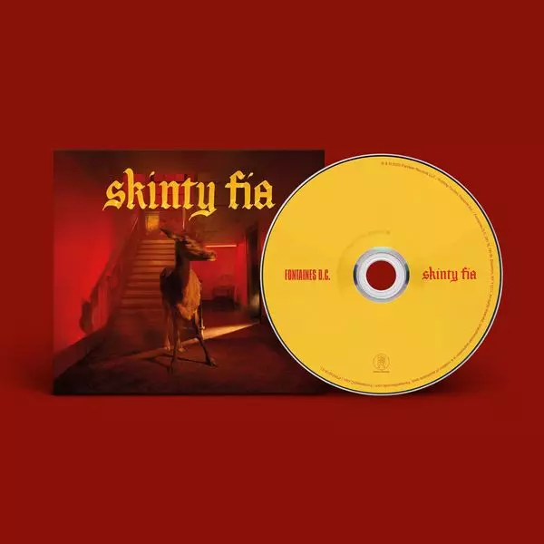 FONTAINES D.C. / フォンテインズ・D.C. / SKINTY FIA (CD)