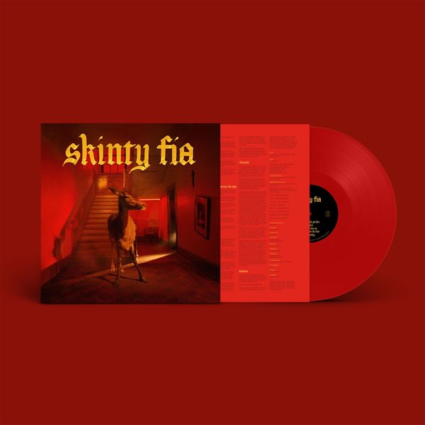FONTAINES D.C. / フォンテインズ・D.C. / SKINTY FIA (LIMITED EDITION RED LP)