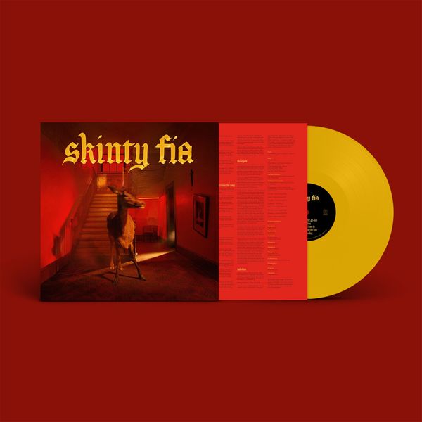 FONTAINES D.C. / フォンテインズ・D.C. / SKINTY FIA (LIMITED EDITION YELLOW LP)