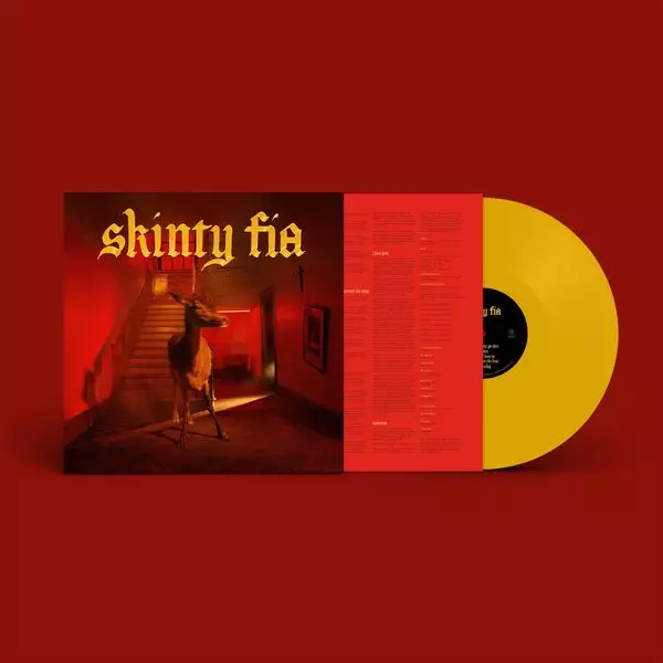 FONTAINES D.C. / フォンテインズ・D.C. / SKINTY FIA (LIMITED EDITION YELLOW LP)