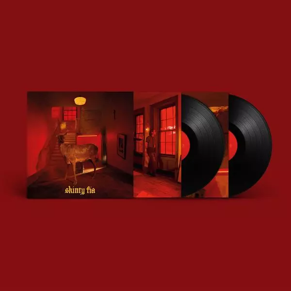 FONTAINES D.C. / フォンテインズ・D.C. / SKINTY FIA (DELUXE 2LP)