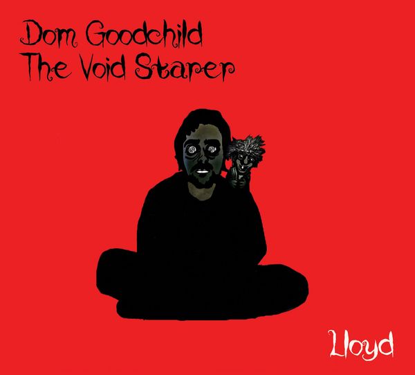 DOM GOODCHILD THE VOID STARER / LLOYD