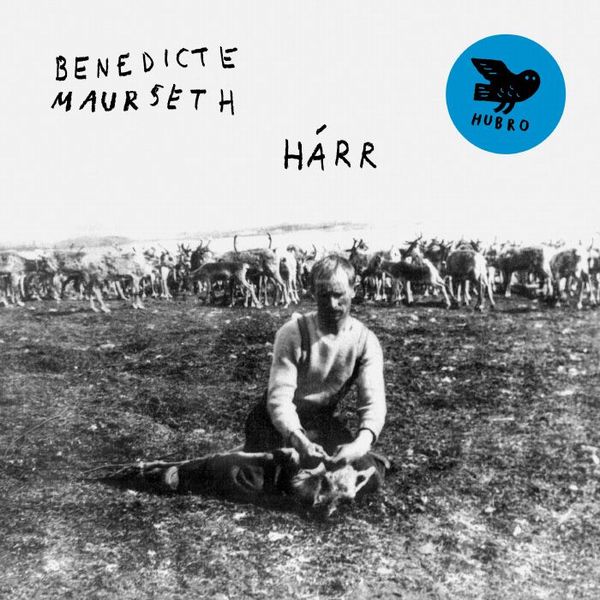 BENEDICTE MAURSETH / ベネディクト・モーセス / HARR (CD)
