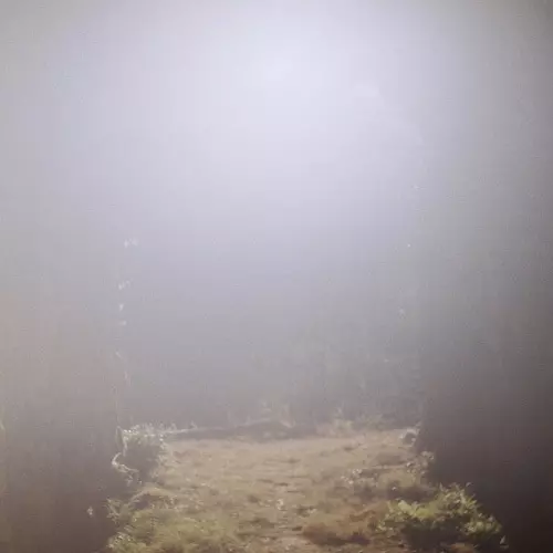 SHIN SASAKUBO / 笹久保伸 / ヴィーナス・ペンギン(LP)