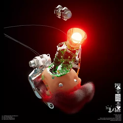 BJARKI / ビヤルキ / I WANNA GO HOME