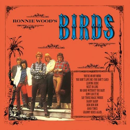 BIRDS / バーズ / RONNIE WOOD'S BIRDS (LP)