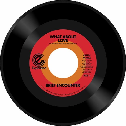 BRIEF ENCOUNTER / ブリーフ・エンカウンター / WHAT ABOUT LOVE / GOT A GOOD FEELING  (7")