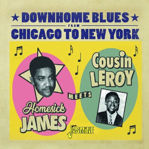 HOMESICK JAMES MEETS COUSIN LEROY / DOWNHOME BLUES FROM CHICAGO TO NEW YORK (CD-R)