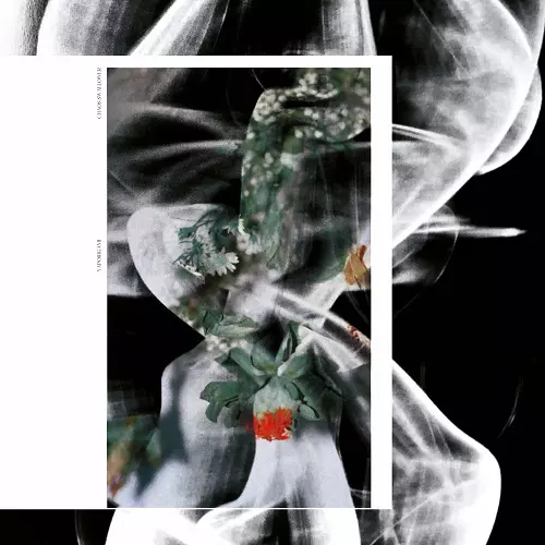 YAPORIGAMI / CHAOS SWALLOWER EP