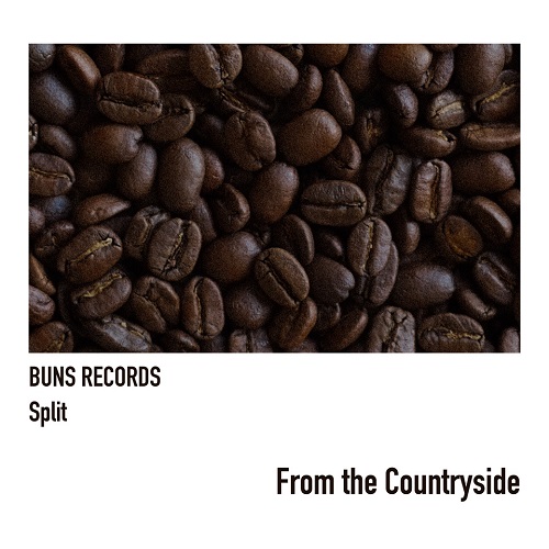 V.A.(BUNS RECORDS Split)  / From the Countryside