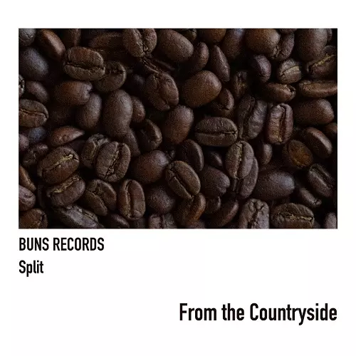 V.A.(BUNS RECORDS Split)  / From the Countryside