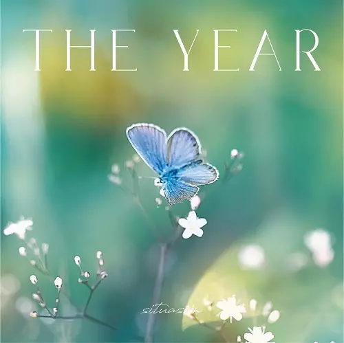 situasion / THE YEAR