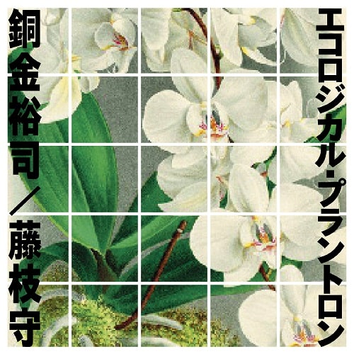 銅金裕司/藤枝守 / エコロジカル・プラントロン (CD)