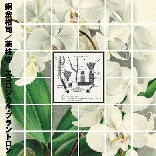 銅金裕司/藤枝守 / エコロジカル・プラントロン (LP)