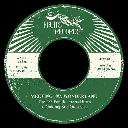 THE 18TH PARALLEL MEETS HORNS OF GUIDING STAR ORCHESTRA / MEETING INA WONDERLAN