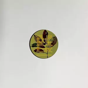 INTERSTATE / AUTUMN LOVES