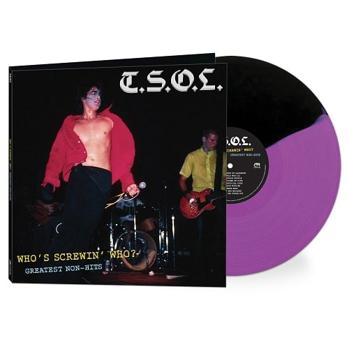 T.S.O.L. / WHO'S SCREWING WHO - GREATEST NON-HITS (LP)