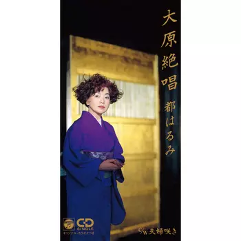 アラ見てたのね / 大阪しぐれ(7