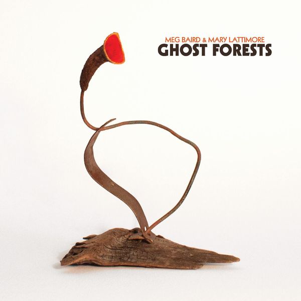 MEG BAIRD AND MARY LATTIMORE / GHOST FORESTS (COLORED VINYL)