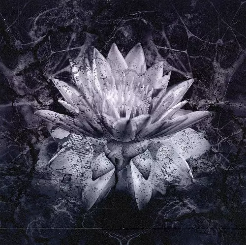 SOILED HATE / The Nine Billion Names Of Hate