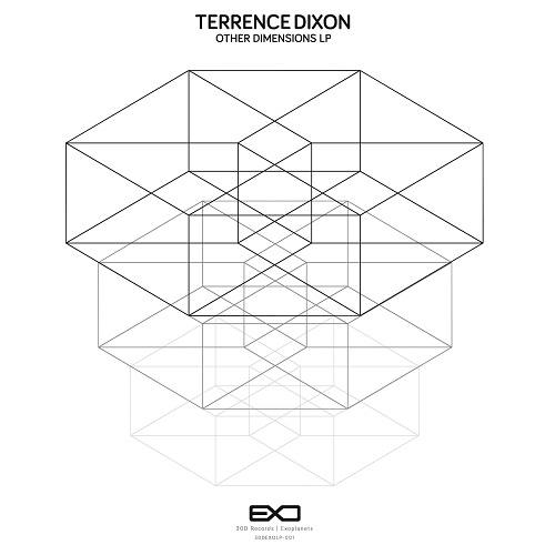 TERRENCE DIXON / テレンス・ディクソン / OTHER DIMENSIONS LP