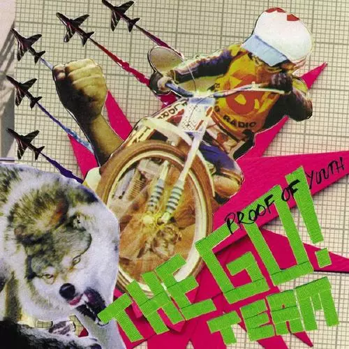 GO! TEAM / ゴー! チーム / PROOF OF YOUTH [LP]