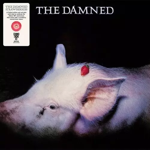 【名盤/廃盤】strawberry record アルバム3枚セット STRAWBERRIES (LP/PINK & RED SWIRL VINYL)/DAMNED/RECORD STORE DAY