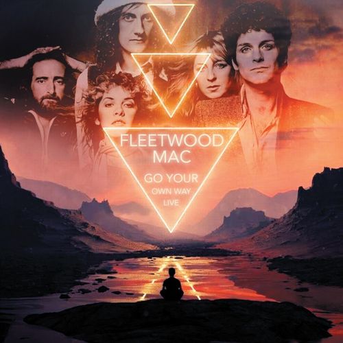 FLEETWOOD MAC / フリートウッド・マック / GO YOUR OWN WAY (10CD)