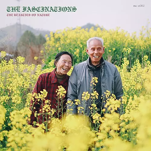 the fascinations(JAZZ) / ファシネイションズ(JAZZ)商品一覧｜NOISE